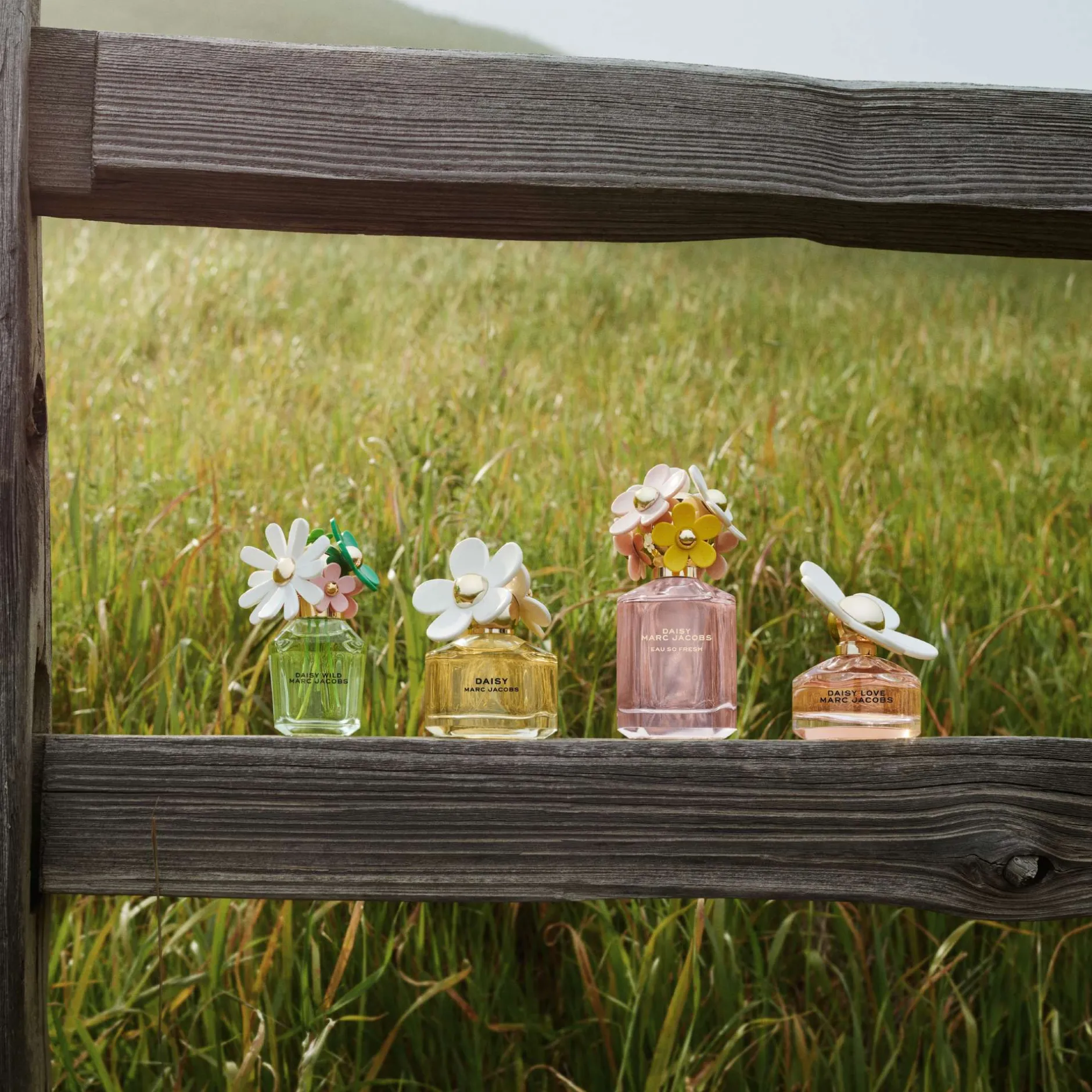 Marc Jacobs Daisy Wild Eau de Parfum 30ml