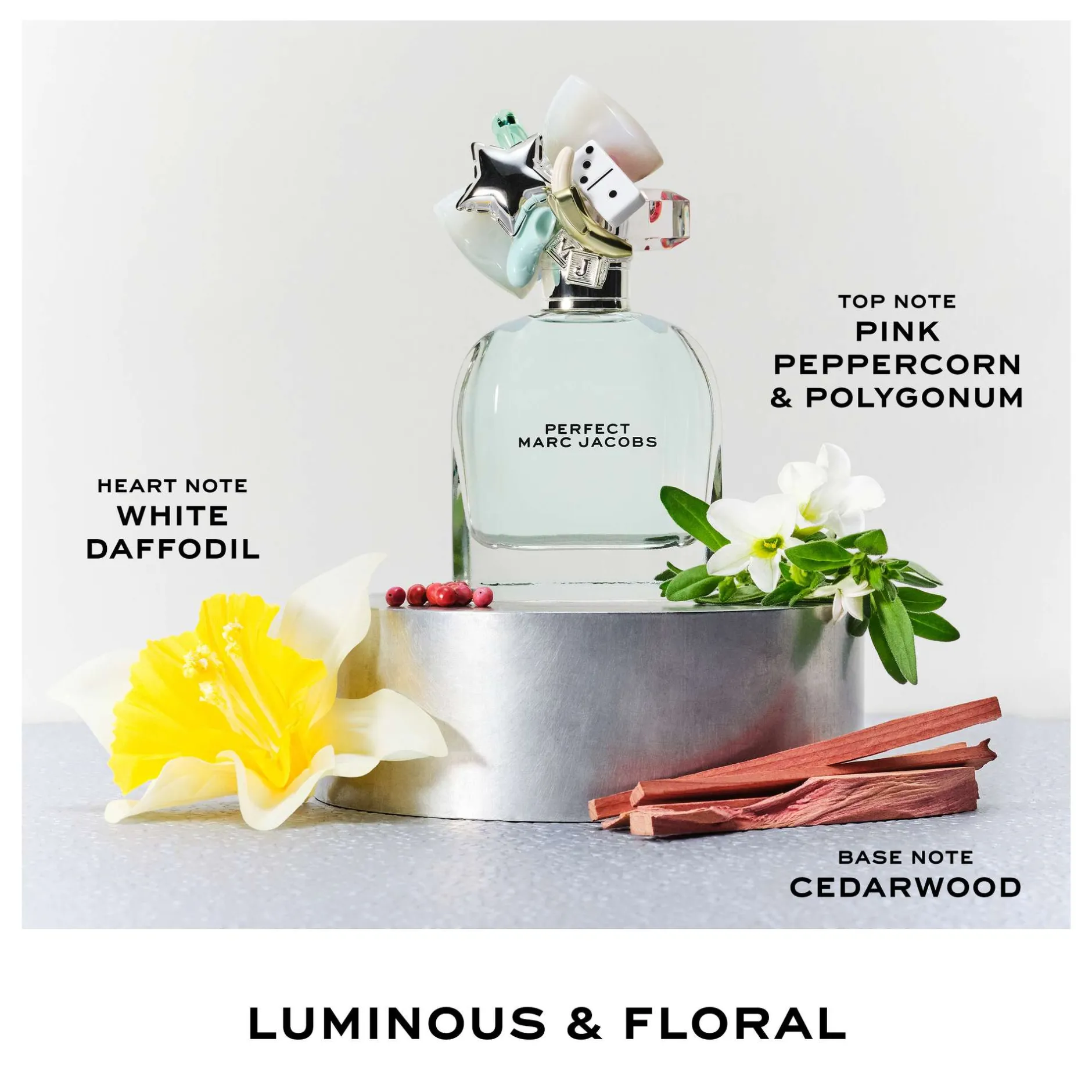 Marc Jacobs Perfect Eau de Toilette 100ml Clearance