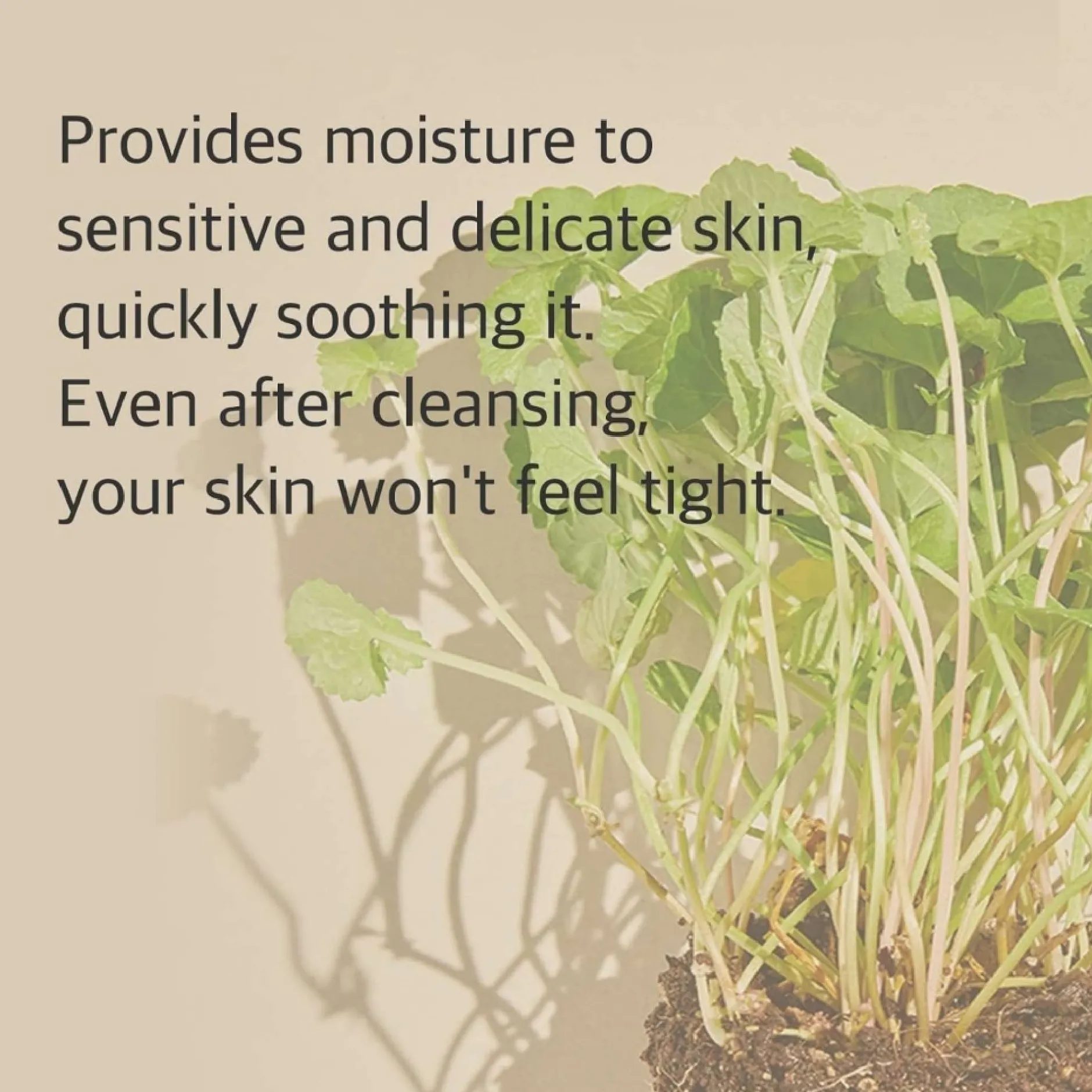 Mixsoon Skincare Centella Cleansing Foam 150ml