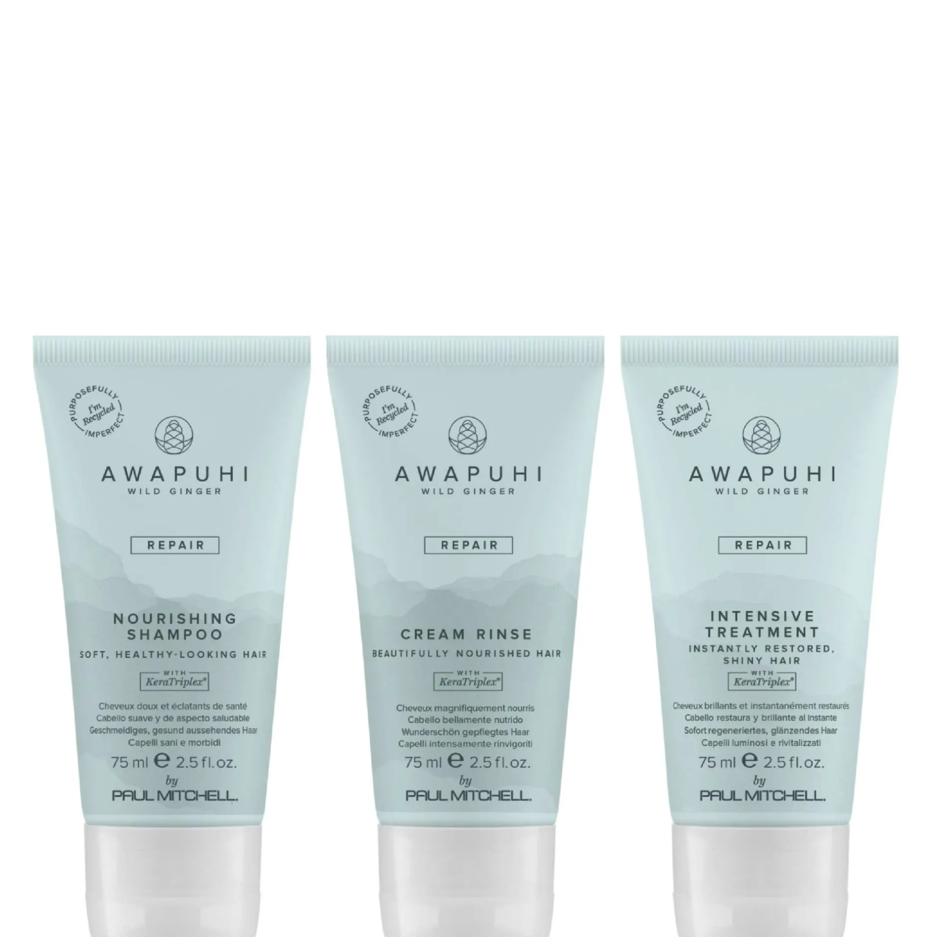 Paul Mitchell Gifts & Sets Awapuhi Wild Ginger Nourishing Travel Kit