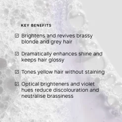 Philip Kingsley Shampoo Pure Blonde / Silver Brightening Daily 1000ml Hot