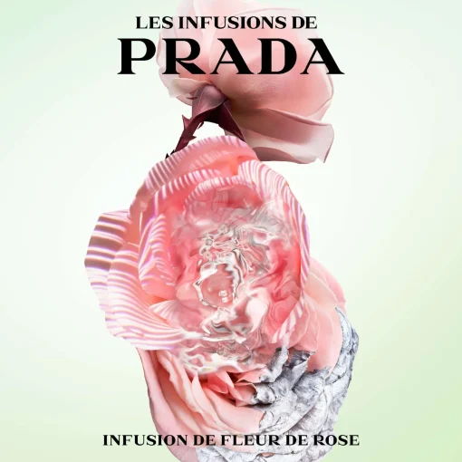 Prada Infusion de Rose Eau de Parfum Spray 100ml Sale