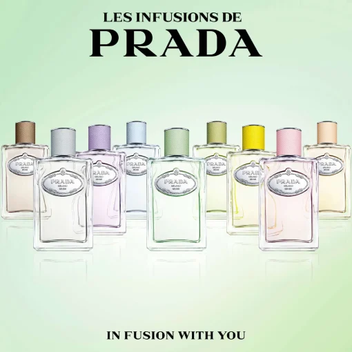 Prada Infusion de Rose Eau de Parfum Spray 100ml Sale