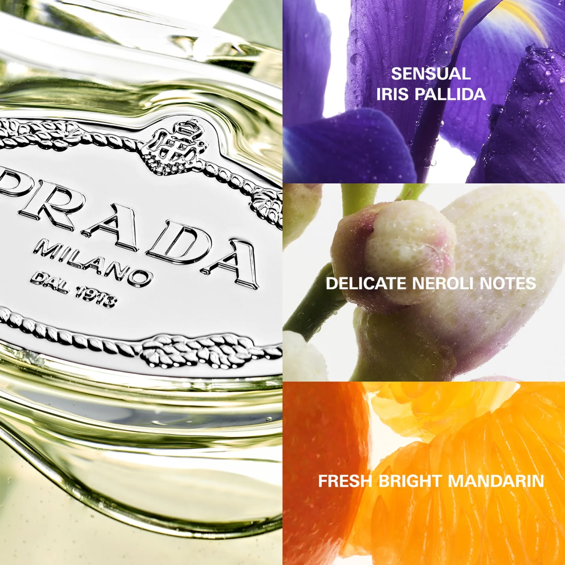 Prada Infusion d'Iris Eau de Parfum Spray 100ml Online