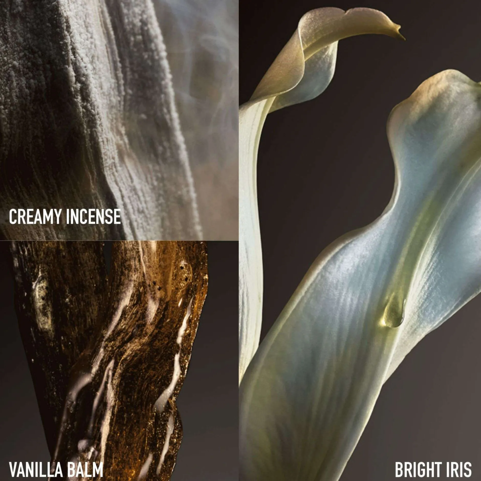 Rabanne Fame The Couture Edition Eau de Parfum 80ml Outlet