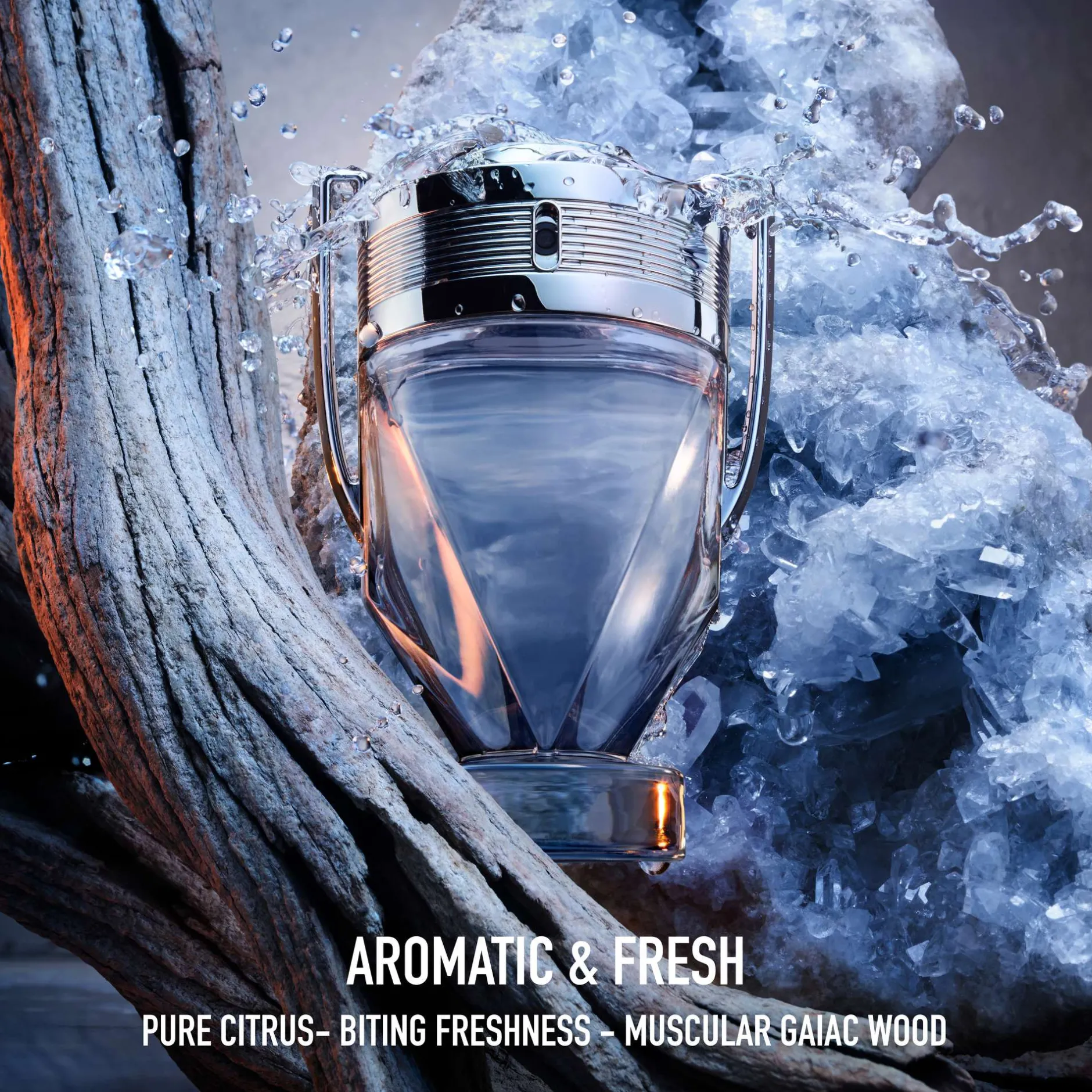 Rabanne Sets Invictus Eau de Toilette 100ml Gift Set Online