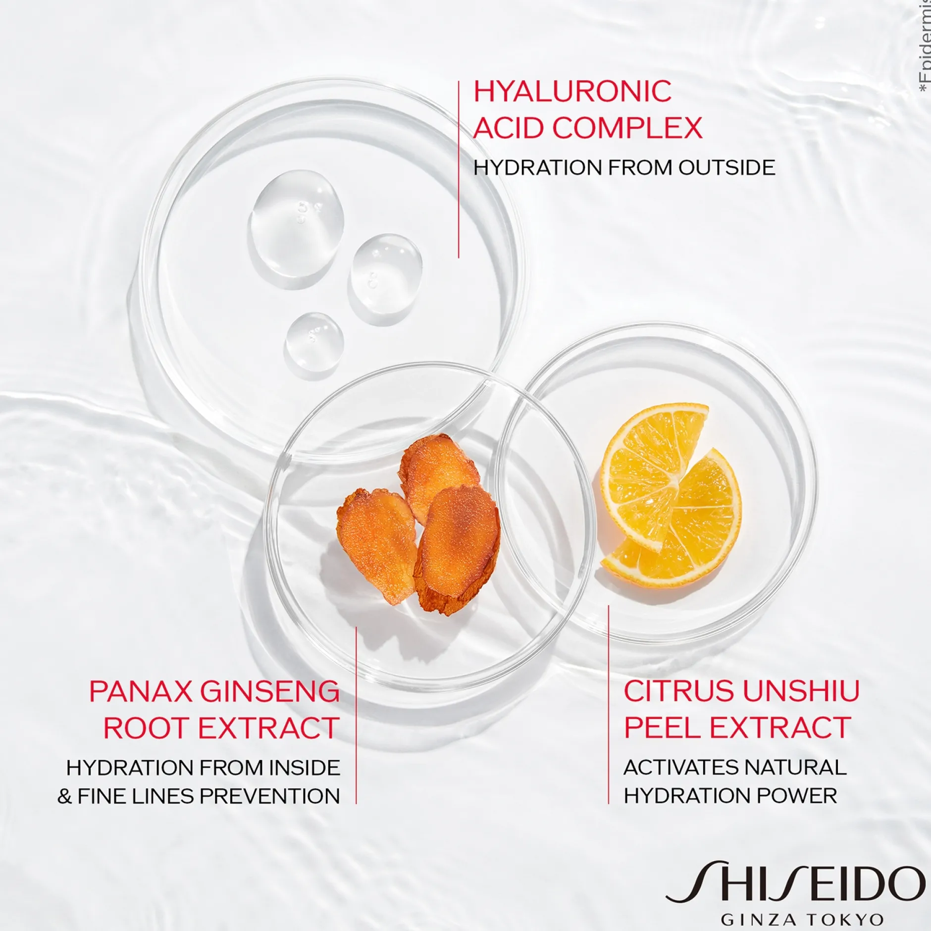 Shiseido Day And Night Creams Essential Energy: Hydrating Day Cream SPF20 50ml / 1.7 oz. New