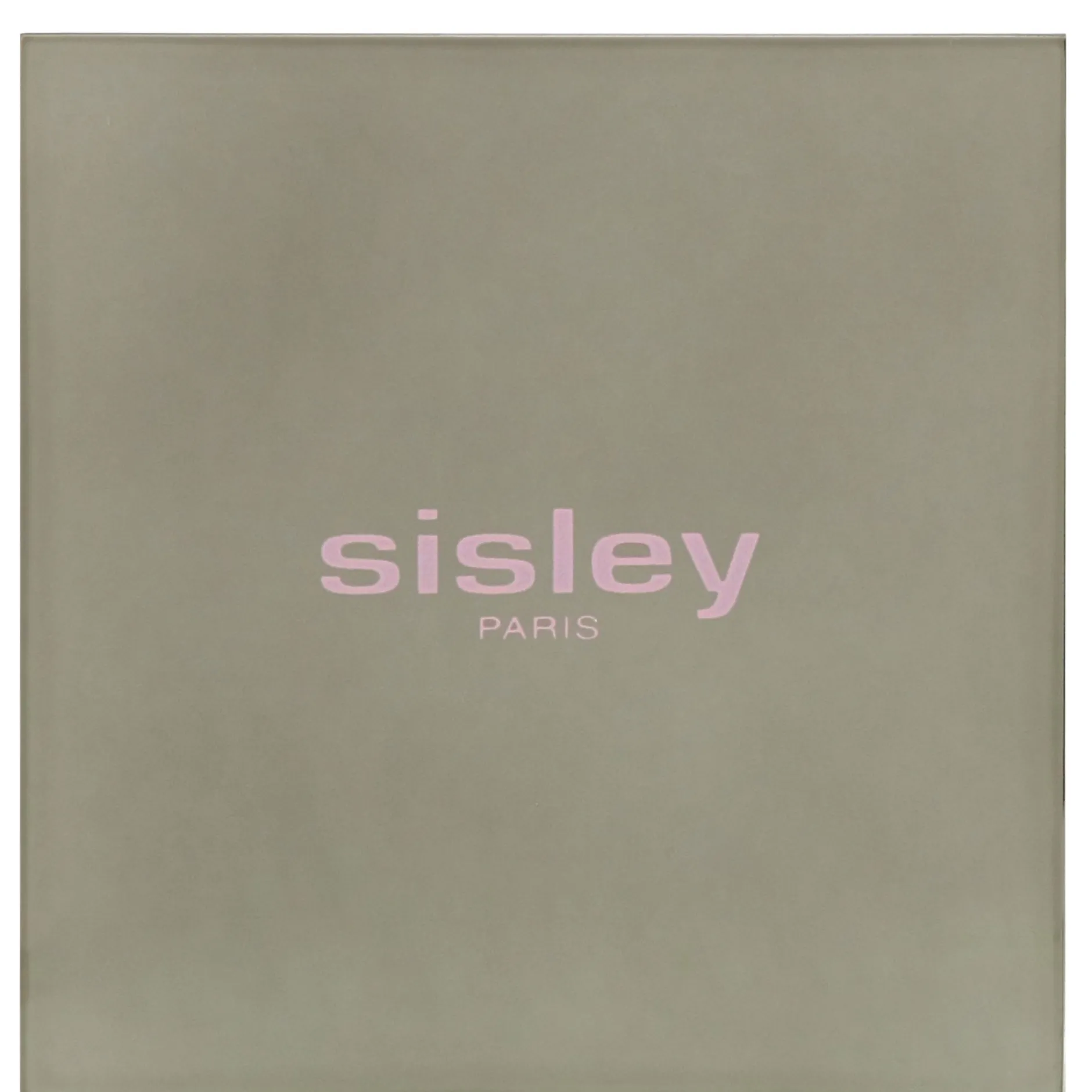 Sisley Blur Expert Perfecting Smoothing Powder 11g New