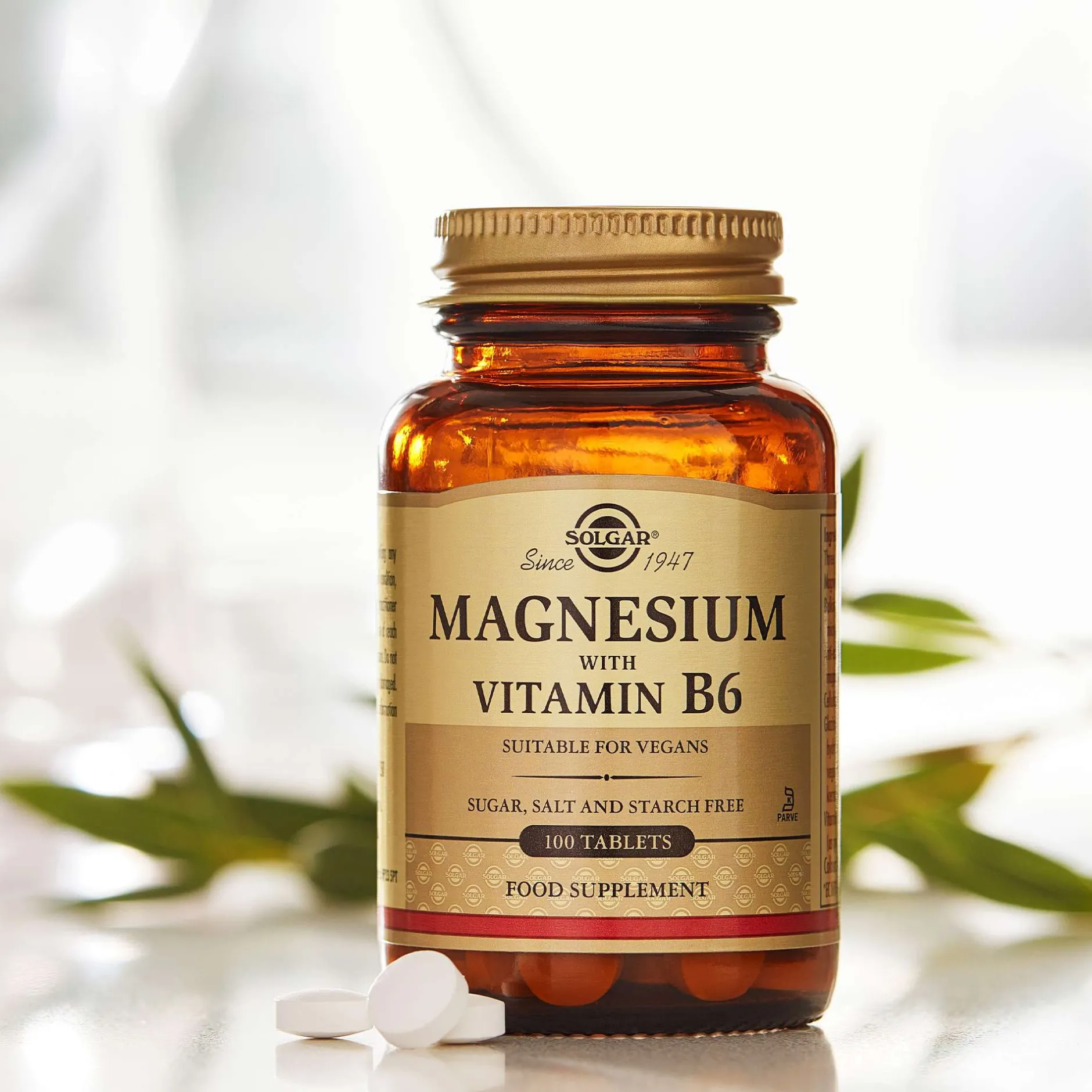 Solgar Minerals Magnesium with Vitamin B6 Tablets x 100 Best
