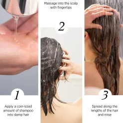 System Professional Hydrate H1 Shampoo 250ml Best