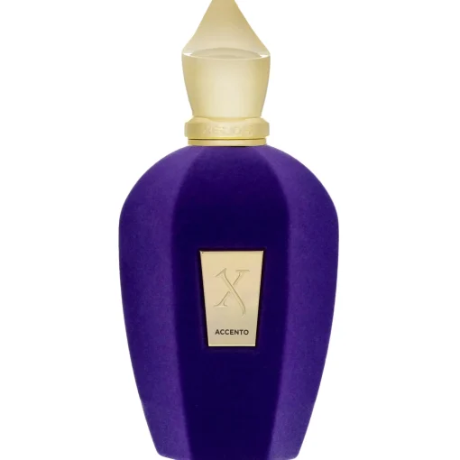 Xerjoff Vibe Collection Accento Eau de Parfum Spray 100ml Sale