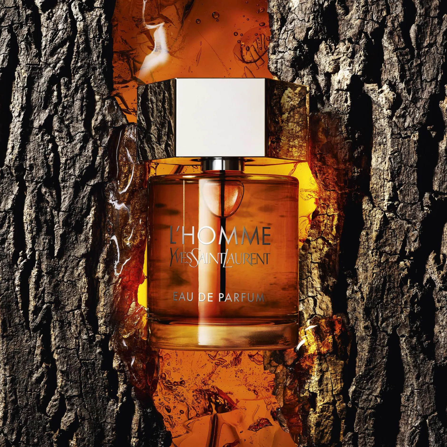 Yves Saint Laurent L'Homme Eau de Parfum Spray 60ml Best