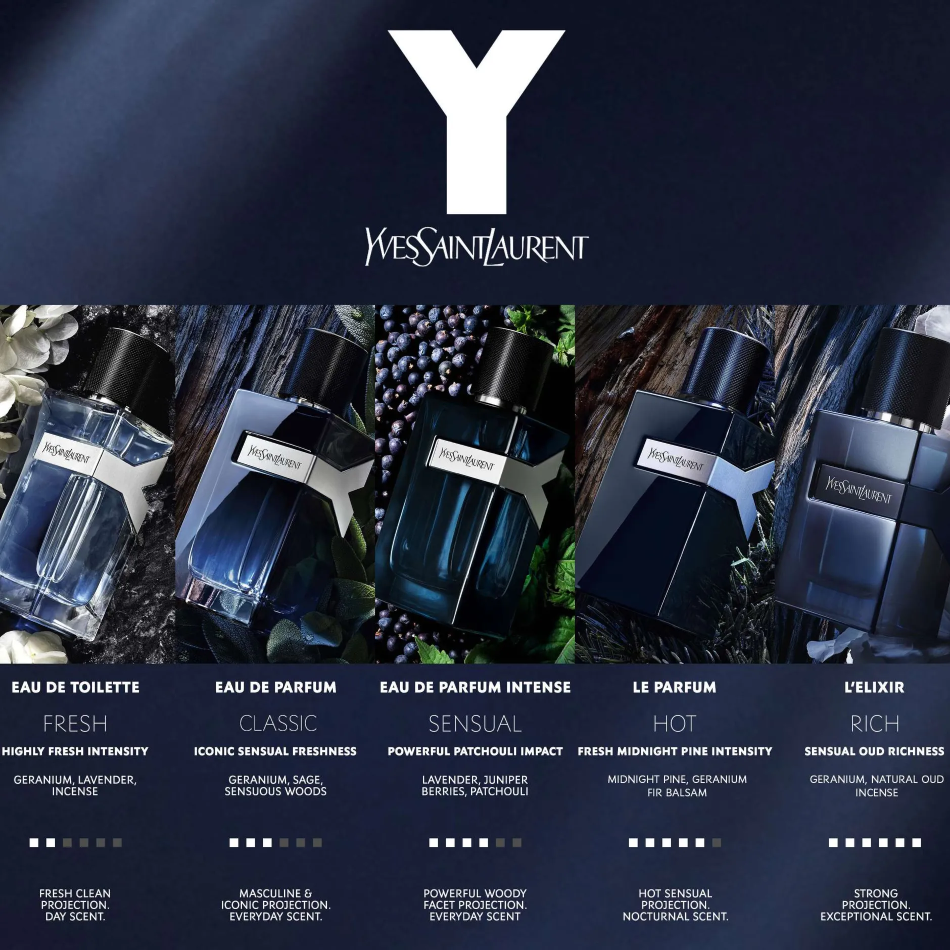 Yves Saint Laurent Y Le Parfum 60ml Best